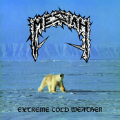 Extreme Cold Weather