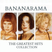 The Greatest Hits Collection (Collector Edition) cover
