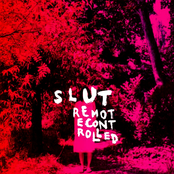 Remote Controlled