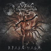 D.Y.I.N.G. W.I.S.H. cover