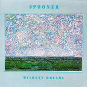 Wildest Dreams