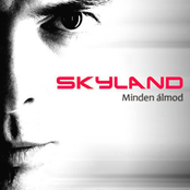 Minden álmod
