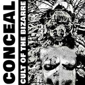 Cult Of The Bizarre
