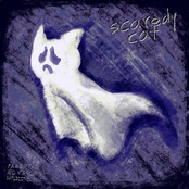scaredycat.zip