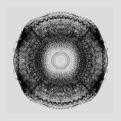 Sycomore