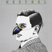 Kestrel