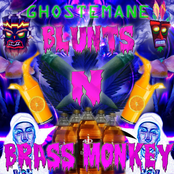 BLUNTS N BRASS MONKEY