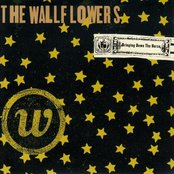 The Wallflowers — Bringing Down The Horse