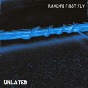 Raven's First Fly