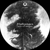Scum Of Memories EP