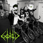 Trash Metal