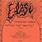 Orphaned Demon Follow Your Destiny