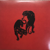 Recorded Live at Arlyn Studios - Austin, TX