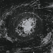 To Sense | To Perceive
