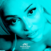 Plastic Box (Vocoded) cover