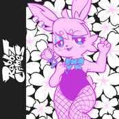 Rabbit Crimes