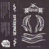 Skin Stone Blood Bone