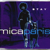Stay cover