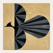 Just A Bird