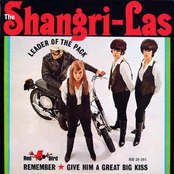Leader Of The Pack cover