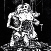 Feasting the Beast