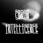 Swarm Intelligence 003