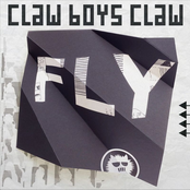 Fly