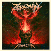 Resurrection
