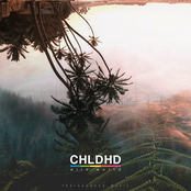 Wild World