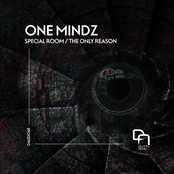 Special Room / The Only Reason