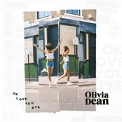 Ok Love You Bye cover