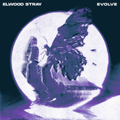 Elwood Stray – Evolve