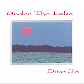 Dive In
