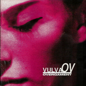 Vulva