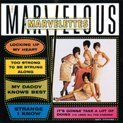 The Marvelous Marvelettes cover