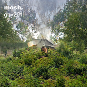 Mosh