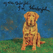 You're Underfed, I'm Wonderful