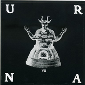 VII