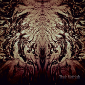 Their Methlab