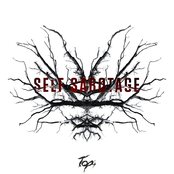 Self Sabotage