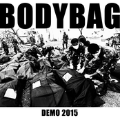 Demo 2015