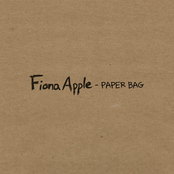 Paper Bag cover