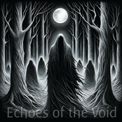 Echoes of the Void