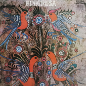 Anacrusa III
