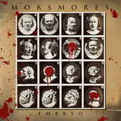 embryo