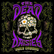 The Dead Daisies – holy ground