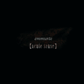 【acute sense】