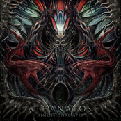 Dimensional Apex