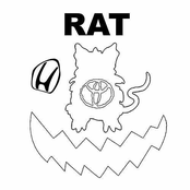 Rat