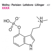 Michael Wollny – XXXX